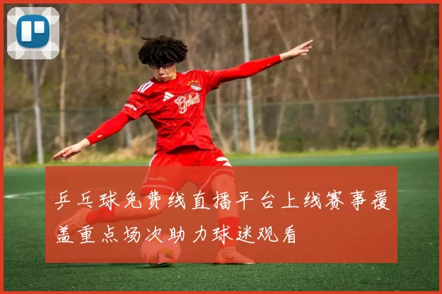 乒乓球免费线直播平台上线赛事覆盖重点场次助力球迷观看